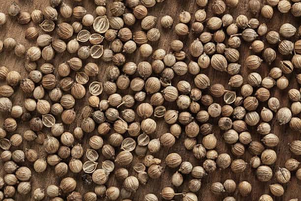 تصویر 4 از خرید و قیمت تخم گشنیز خوش عطر + فروش عمده